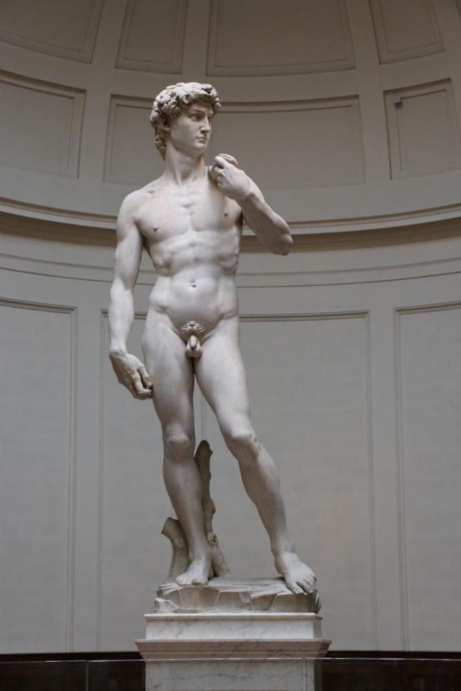 I Fragoli Al David Apartment Firenze Bagian luar foto